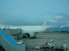 JAL396 Hcs(B777-200)
