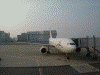 JAL1841 s(A300-600R)