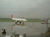 JAL1151 ƂэLs/A300-600R