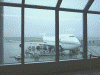 JAL502便(B747)