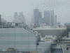 朝の新宿超高層ビルたち