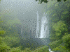 白水の滝(4)