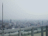 空中庭園からの眺め(7)/南港と大阪ドームを望む