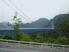 竜神大吊橋(1)