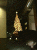 京都駅のクリスマスツリー