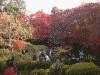 詩仙堂の庭の紅葉(6)