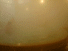 御所湯(2)/内湯