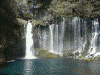 白糸の滝(6)