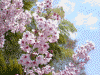滝桜の駐車場に咲いていた桜