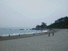 桂浜(4)