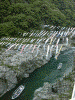大歩危峡と鯉のぼり(2)