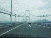 来島海峡大橋を渡る(5)