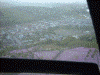 ヘリから見た滝上公園の芝桜(5)