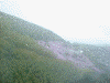 ヘリから見た滝上公園の芝桜(6)