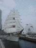 帆船 日本丸「総帆展帆」(5)