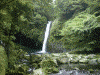 浄蓮の滝(4)