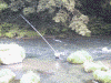 天降川で鮎釣りをしている人