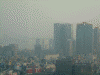 丸ビル３５階からの風景(1)/レインボーブリッジ方面