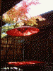 箱根美術館の紅葉(18)