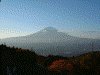 国道138号線 乙女峠から見る富士山