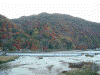 大堰川と紅葉