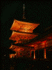 清水寺 夜の特別拝観(12)