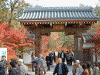 永観堂幼稚園の門と紅葉
