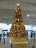 大さん橋 国際客船ターミナルのクリスマスツリー(3)