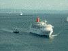 「にっぽん丸」横浜港入港(7)