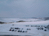 ホテル日の出岬から眺める流氷(4)