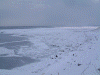 日の出岬から眺める流氷(1)