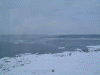 日の出岬から眺める流氷(2)