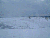 日の出岬から眺める流氷(3)