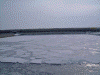 ガリンコ号IIから見た流氷(1)/防波堤内