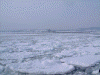 ガリンコ号IIから見た流氷(5)/分厚い氷も多くなってきました