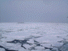 ガリンコ号IIから見た流氷(10)/さすがにアザラシはいなかったようです