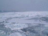 ガリンコ号IIから見た流氷(11)/そろそろ戻ります