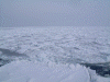 ガリンコ号IIから見た流氷(12)/氷に覆われた水平線