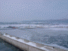 オホーツクタワーから見る流氷(1)