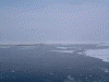 オホーツクタワーから見る流氷(3)
