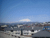 真っ白に雪化粧した岩手山(2)