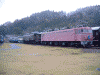 電気機関車群(EF65型,EF59型,EF80型)