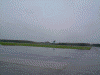 飛び立つRAC機(DHC-8)