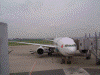 JAL521便 千歳行き/JAS レインボー7(B777)