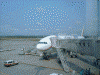 JAL521便