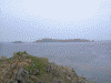 スコトン岬と海驢島(6)