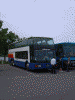 定期観光バス Ｂコースのバス