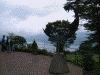 箱根テディベアミュージアムから芦ノ湖を眺める(1)