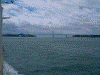うずしお観潮船 日本丸から見る大鳴門橋(6)