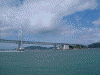 うずしお観潮船 日本丸から見る大鳴門橋(8)